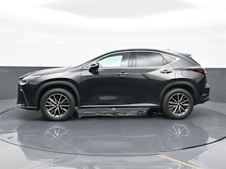 2024 Lexus NX 250 Base
                                    for sale in Miami, FL – photo 3