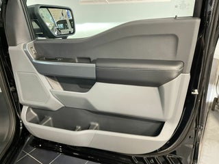 Image of 2024 Ford F-150 Lightning