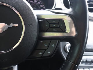 2023 Ford Mustang thumbnail – Doral, FL – 32