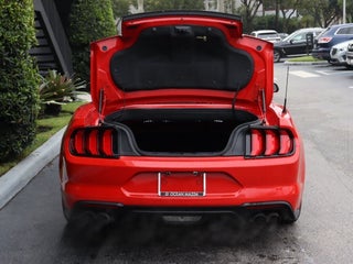 2023 Ford Mustang thumbnail – Doral, FL – 8