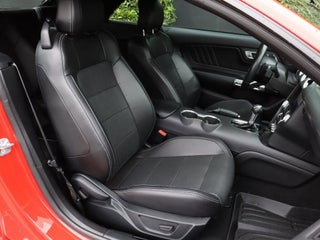 2023 Ford Mustang thumbnail – Doral, FL – 18