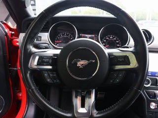2023 Ford Mustang thumbnail – Doral, FL – 20