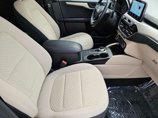 Ford Escape for sale Las Vegas