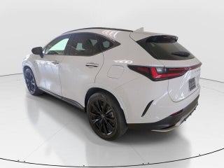2023 Lexus NX 350 thumbnail – Miami, FL – 17