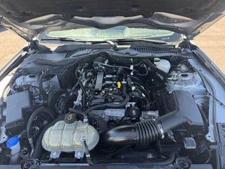 Ford Mustang for sale Las Vegas