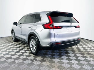 2023 Honda CR-V thumbnail – Miami, FL – 6