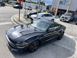 2022 Ford Mustang thumbnail – Miami, FL – 11