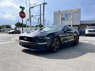 2022 Ford Mustang thumbnail – Miami, FL – 2