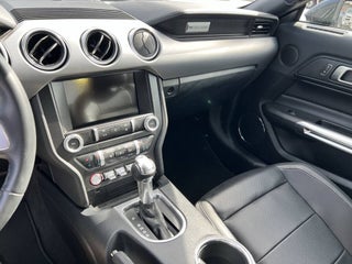 2022 Ford Mustang thumbnail – Miami, FL – 33