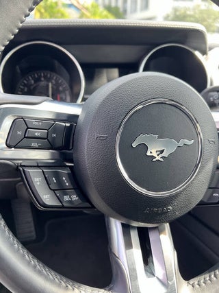 2022 Ford Mustang thumbnail – Miami, FL – 31