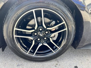 2022 Ford Mustang thumbnail – Miami, FL – 13