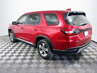 2023 Honda Pilot thumbnail – Miami, FL – 4