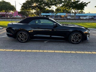 2019 Ford Mustang thumbnail – Hollywood, FL – 5