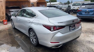 2020 Lexus ES 350 thumbnail – Hollywood, FL – 5