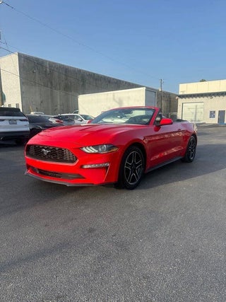 2022 Ford Mustang thumbnail – Miami, FL – 3