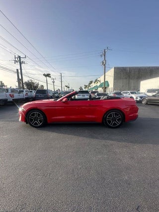 2022 Ford Mustang thumbnail – Miami, FL – 4