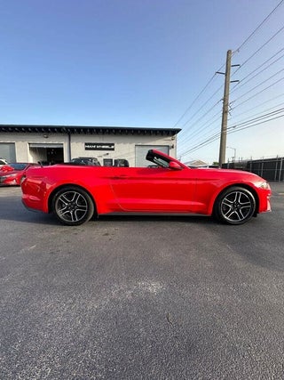 2022 Ford Mustang thumbnail – Miami, FL – 5