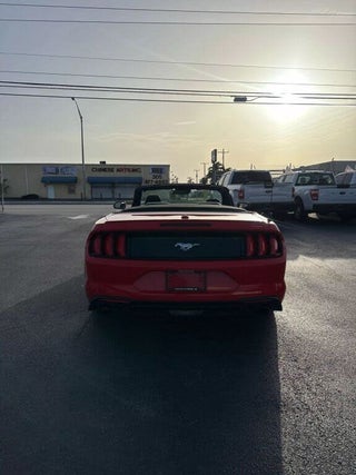 2022 Ford Mustang thumbnail – Miami, FL – 10