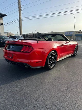 2022 Ford Mustang thumbnail – Miami, FL – 9