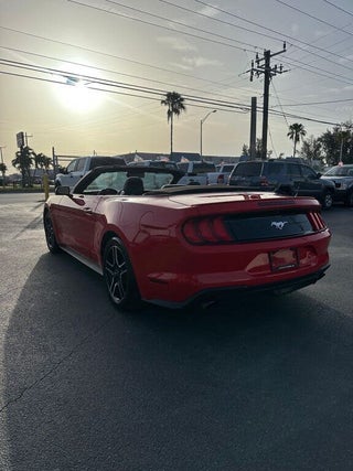 2022 Ford Mustang thumbnail – Miami, FL – 11