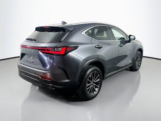 2022 Lexus NX 250 thumbnail – Miami, FL – 4