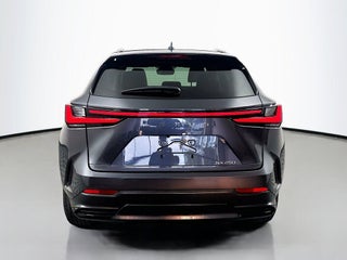 2022 Lexus NX 250 thumbnail – Miami, FL – 5