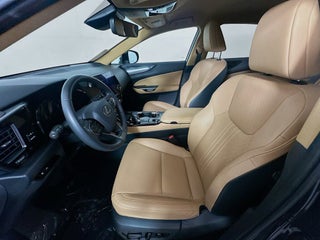 2022 Lexus NX 250 thumbnail – Miami, FL – 17