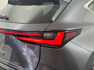 2022 Lexus NX 250 thumbnail – Miami, FL – 26