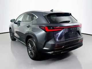 2022 Lexus NX 250 thumbnail – Miami, FL – 6