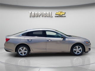 2023 Chevrolet Malibu thumbnail – Miami Shores, FL – 6