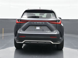 2022 Lexus NX 350 thumbnail – Miami, FL – 15