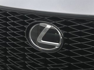 2022 Lexus NX 350 thumbnail – Miami, FL – 19