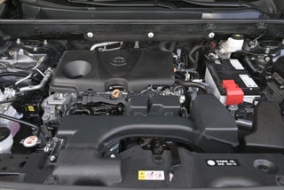 2023 Toyota RAV4 thumbnail – Miami, FL – 48