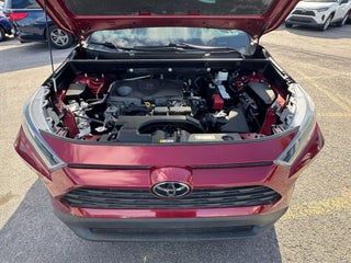 2021 Toyota RAV4 thumbnail – Miami, FL – 17