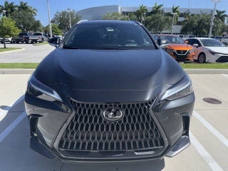 2023 Lexus NX 250 thumbnail – Miami, FL – 5