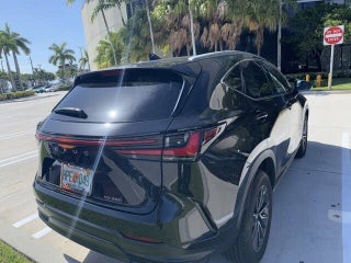 2023 Lexus NX 250 thumbnail – Miami, FL – 7