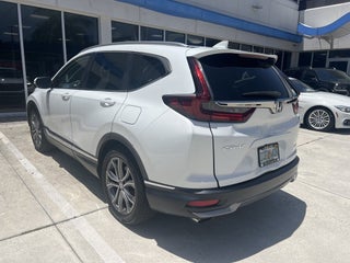 2020 Honda CR-V thumbnail – Fort Lauderdale, FL – 8