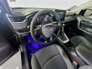2021 Toyota RAV4 thumbnail – Miami, FL – 7