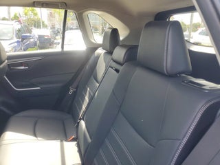 2022 Toyota RAV4 thumbnail – Miami, FL – 17