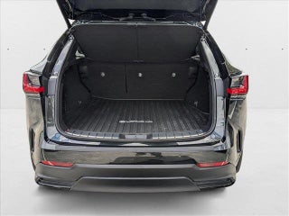2025 Lexus NX 350h thumbnail – Hialeah, FL – 6
