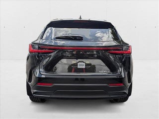 2025 Lexus NX 350h thumbnail – Hialeah, FL – 7