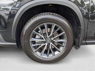 2025 Lexus NX 350h thumbnail – Hialeah, FL – 24