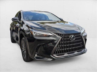2025 Lexus NX 350h thumbnail – Hialeah, FL – 3
