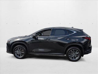 2025 Lexus NX 350h thumbnail – Hialeah, FL – 9