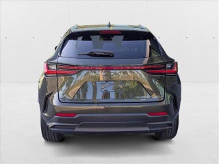 2022 Lexus NX 350h thumbnail – Pompano Beach, FL – 7