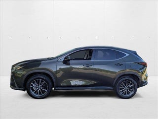 2022 Lexus NX 350h thumbnail – Pompano Beach, FL – 9