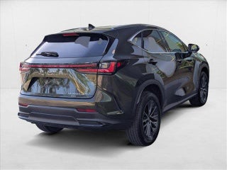 2022 Lexus NX 350h thumbnail – Pompano Beach, FL – 5