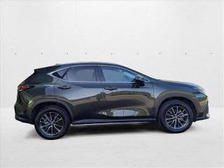 2022 Lexus NX 350h thumbnail – Pompano Beach, FL – 4