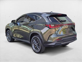 2022 Lexus NX 350h thumbnail – Pompano Beach, FL – 8