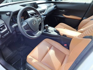 2021 Lexus UX 200 thumbnail – Miami, FL – 10